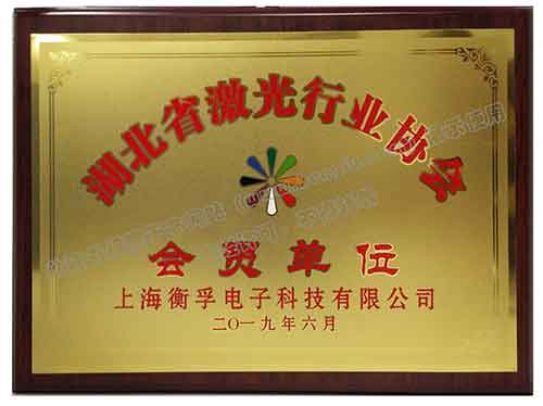 Hubei Laser Industry Association